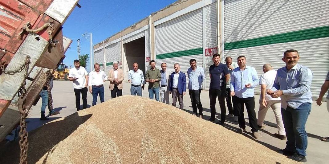 Geçen sene 40, bu sene 6 ton verim elde edildi, durum fiyata yansıdı! Çitçinin yüzü asıldı: Kilosu 17 liradan satıldı 1